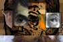 Self Portrait(s) [as Other(s)] by Talan Memmott