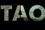 Tao by Reiner Strasser and Alan Sondheim
