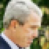 Bush image 2