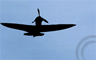 Tailspin by Christine Wilks