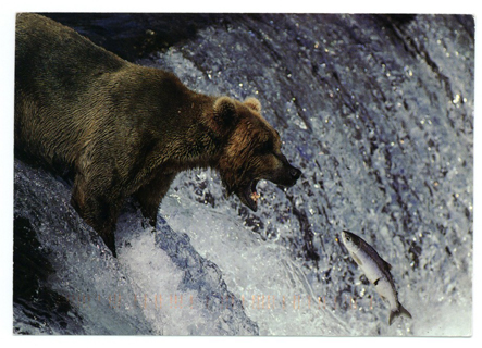 Postcard