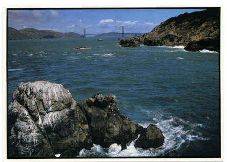 Postcard
