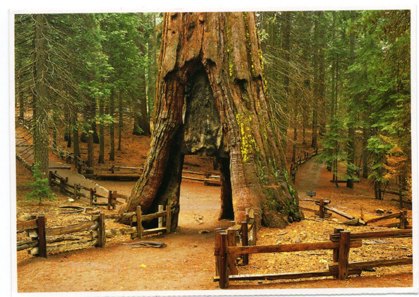 Postcard